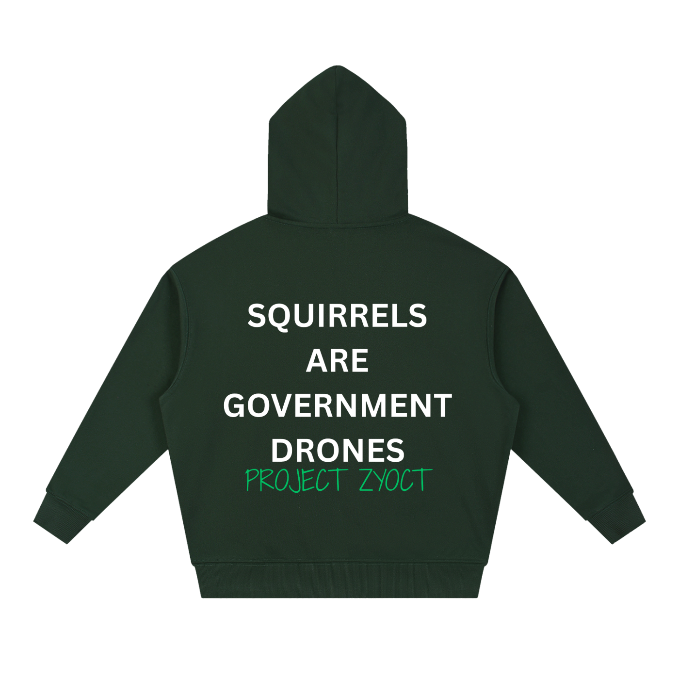"Squirrels Are Government Drones" Heavyweight Hoodie
