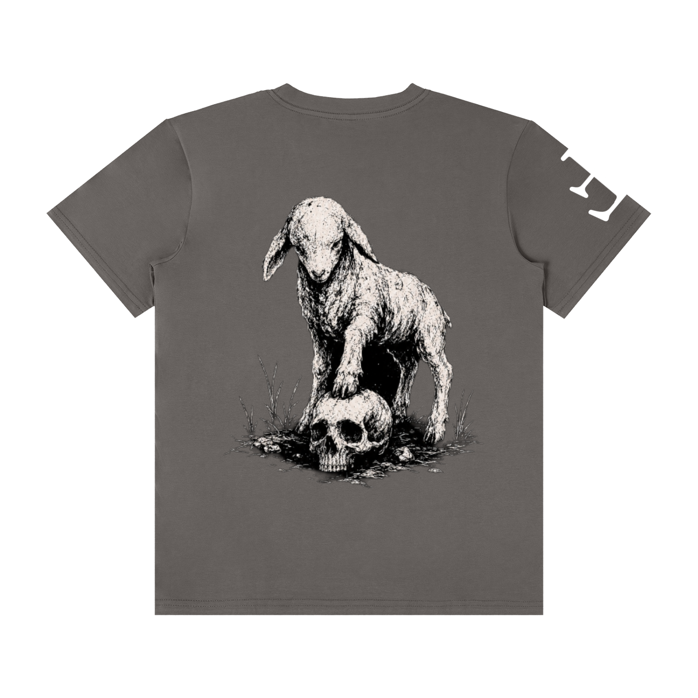 Faith Over Fear T-Shirt