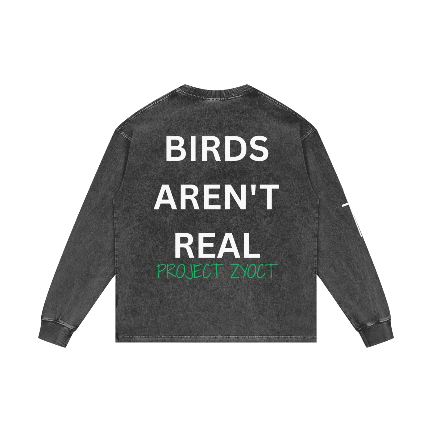 "Birds Aren't Real" Acid Wash Long Sleeve