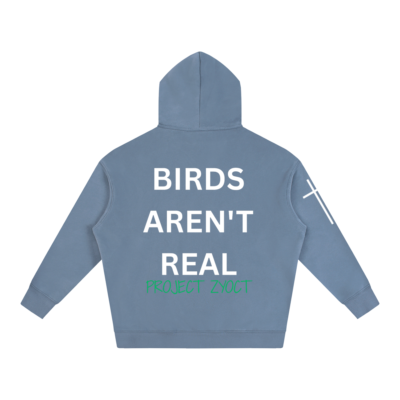 "Birds Aren't Real" Oversize Hoodie