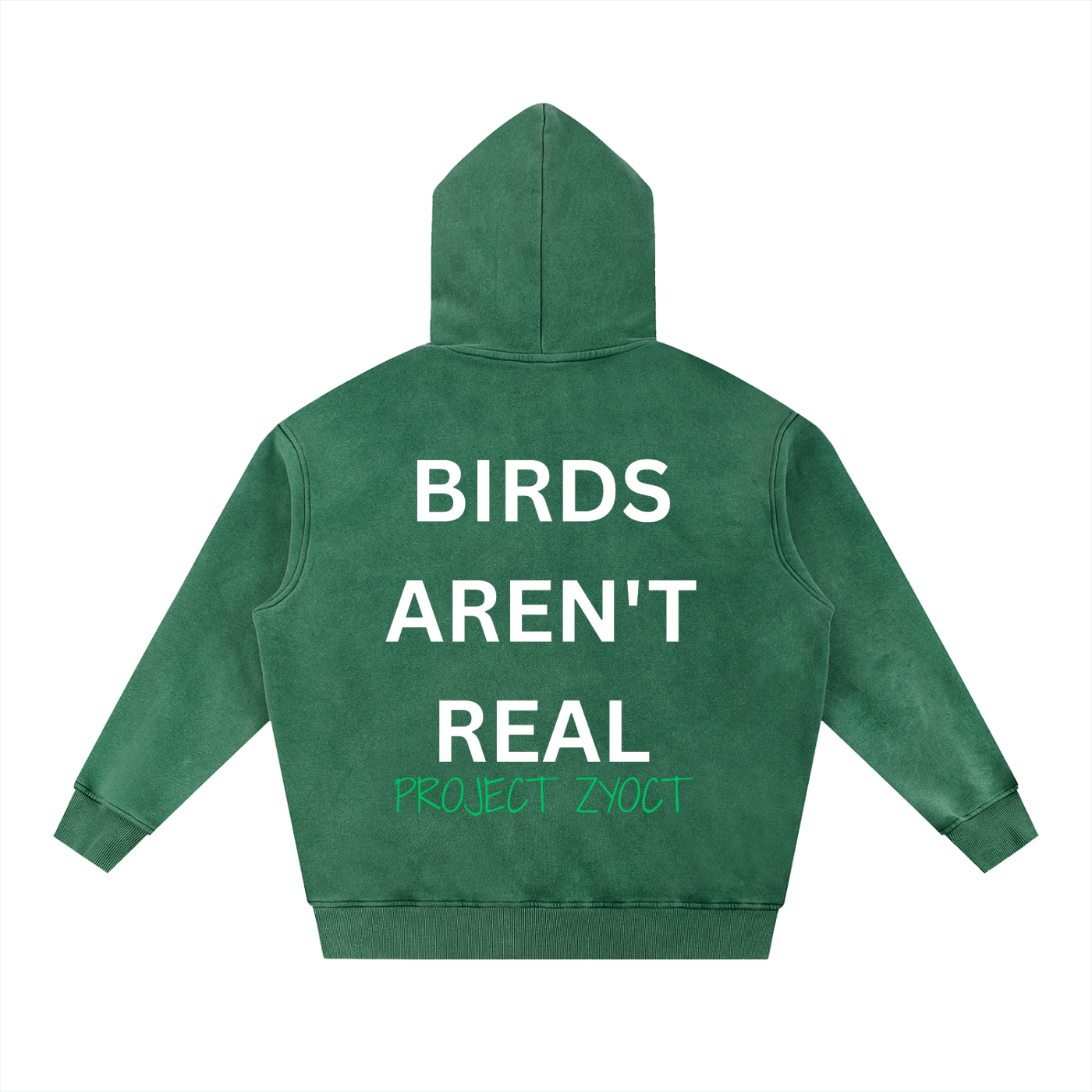 "Birds Aren't Real" Snow Wash Oversize Hoodie