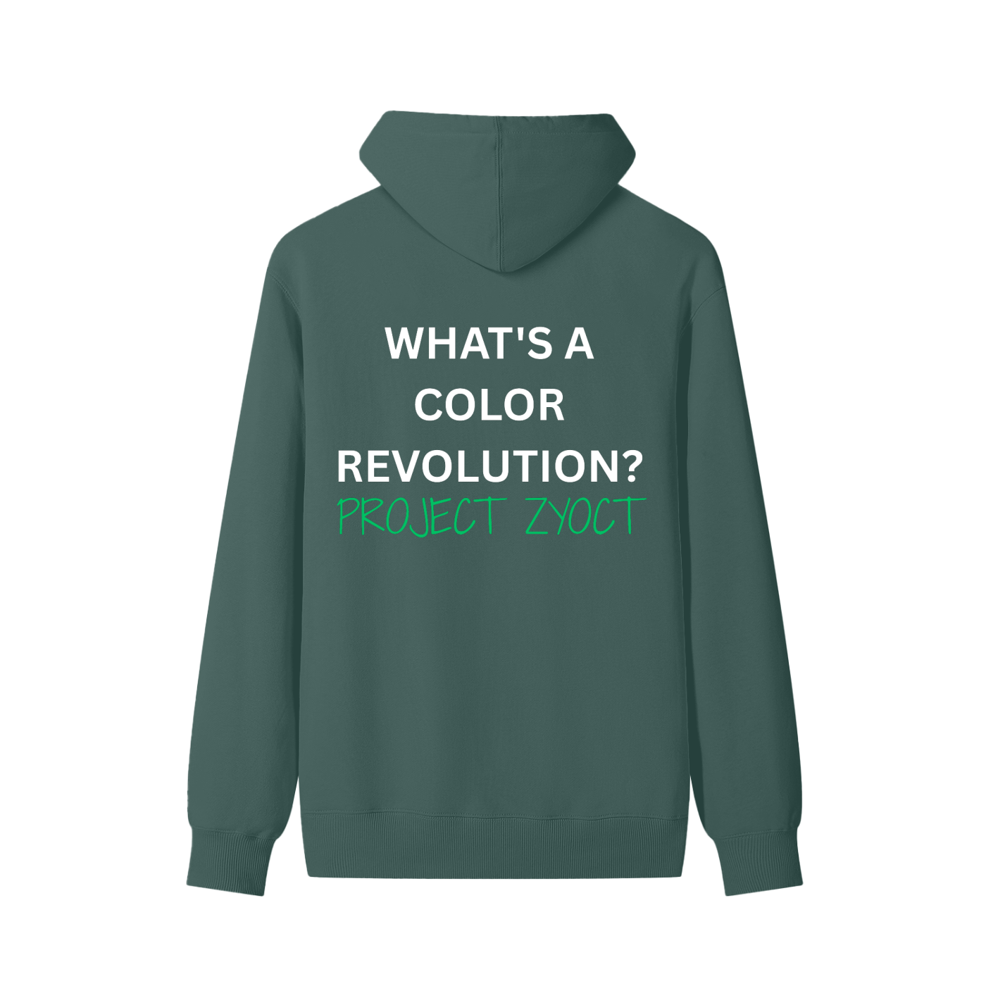 "What's a Color Revolution?" Classic Cotton Hoodie