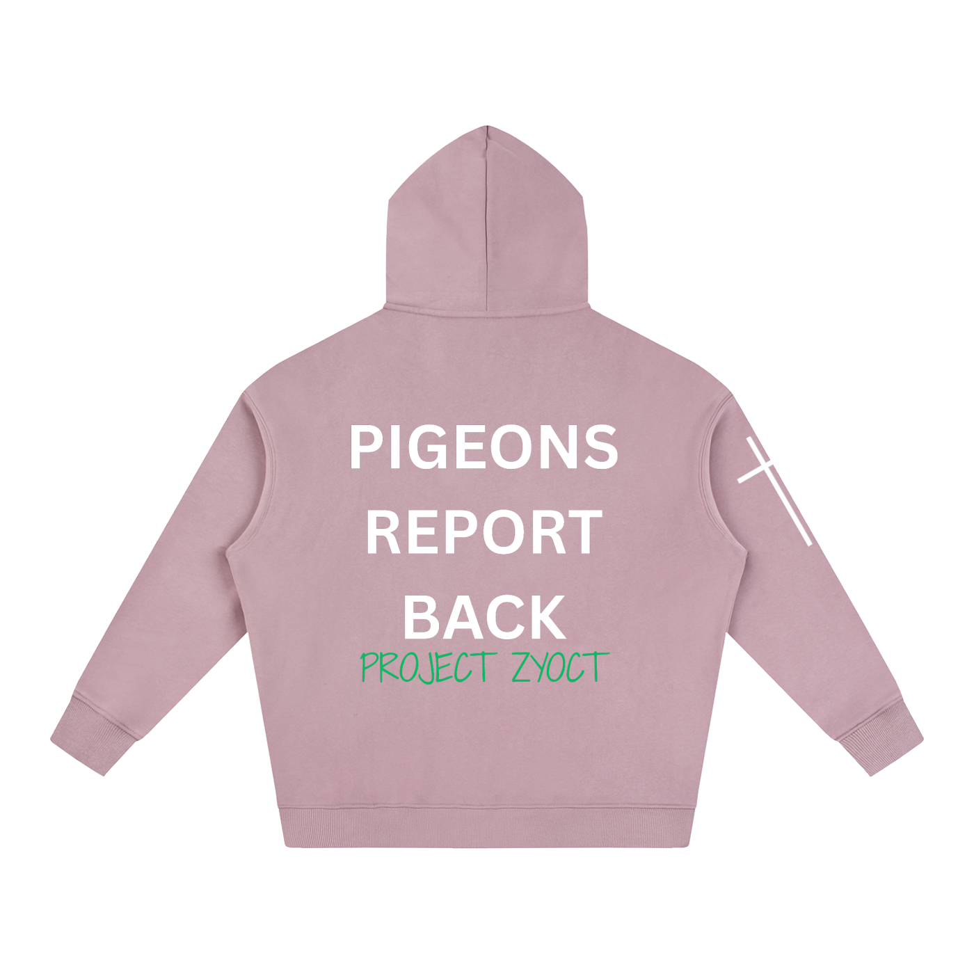 "Pigeons Report Back" Oversize Hoodie