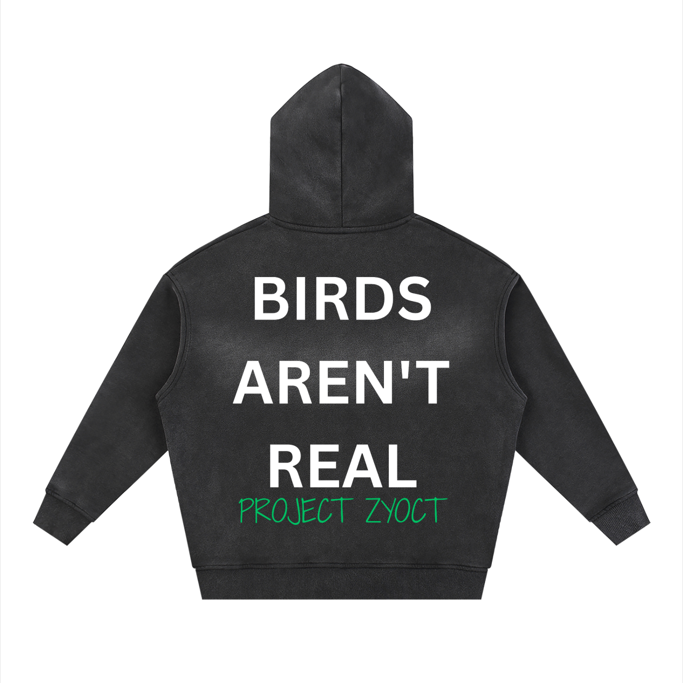 "Birds Aren't Real" Faded Zipper Hoodie