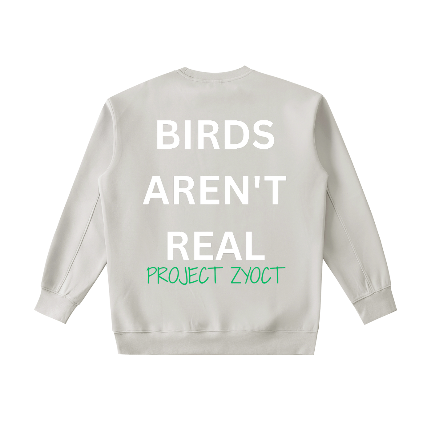 "Birds Aren't Real" Heavyweight Sweatshirt