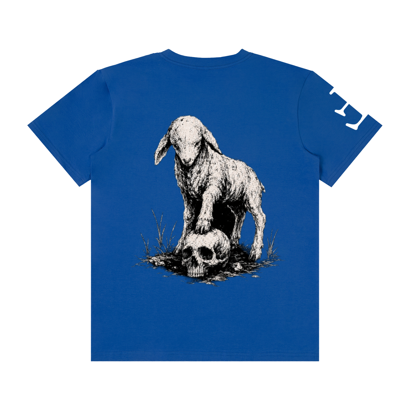 Faith Over Fear T-Shirt