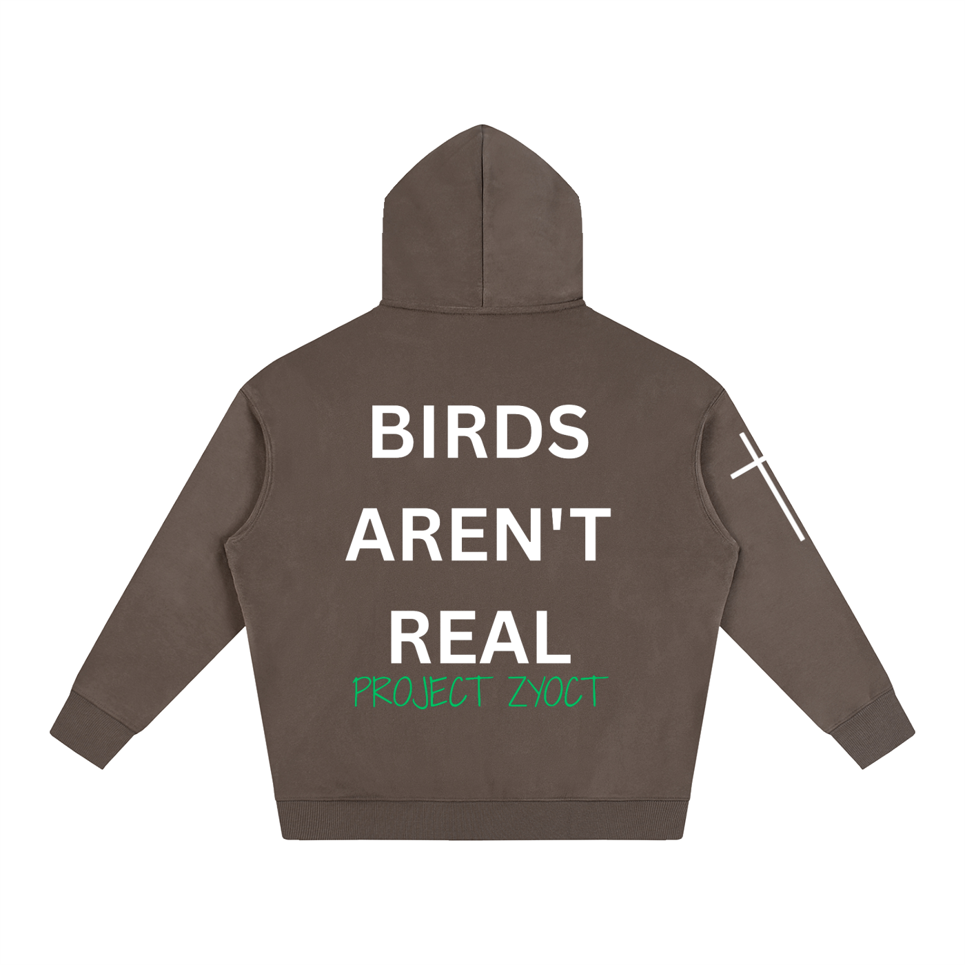 "Birds Aren't Real" Oversize Hoodie
