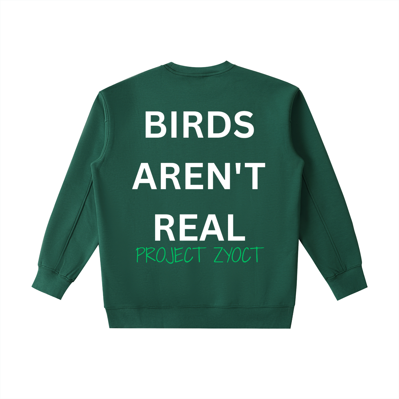 "Birds Aren't Real" Heavyweight Sweatshirt