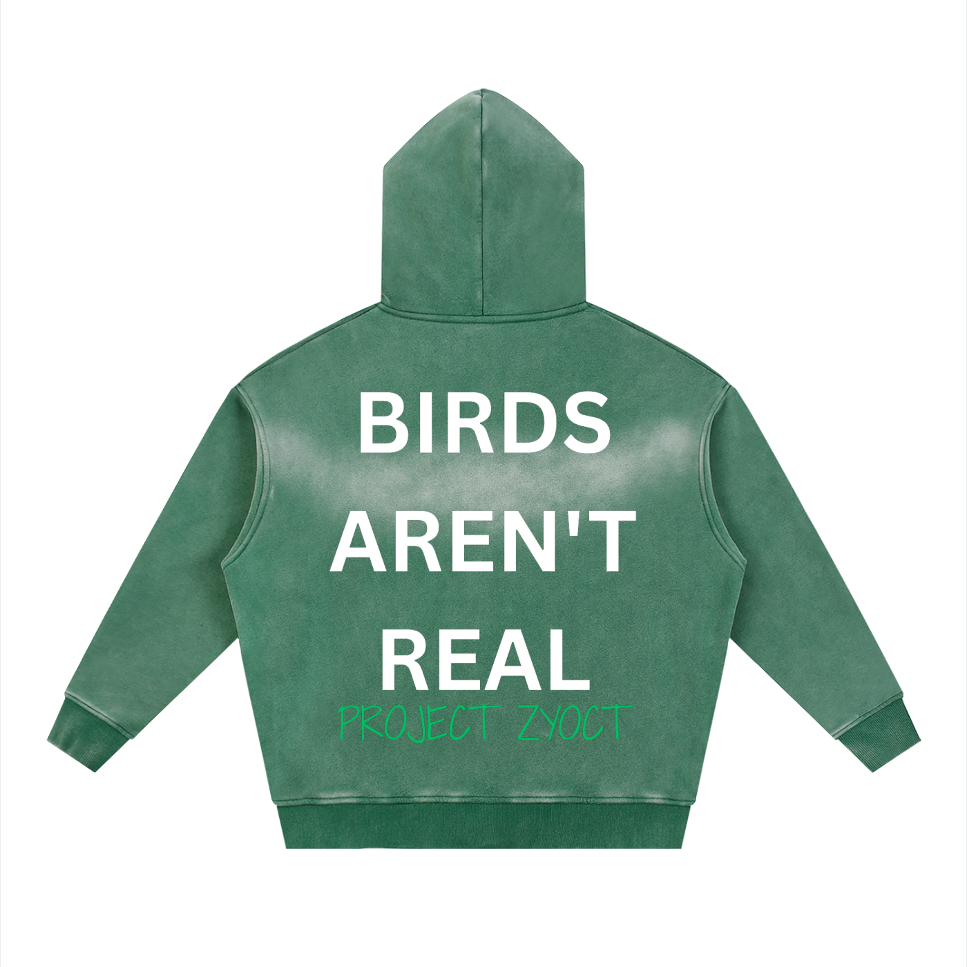 "Birds Aren't Real" Faded Zipper Hoodie