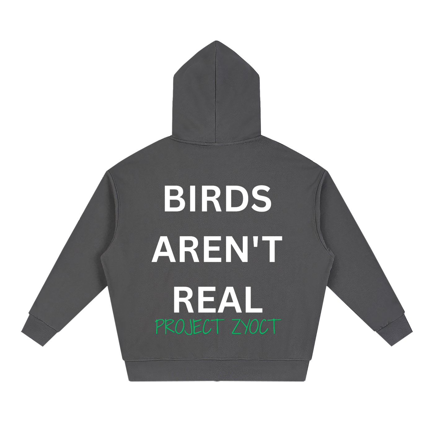 "Birds Aren't Real" Full Zip Hoodie