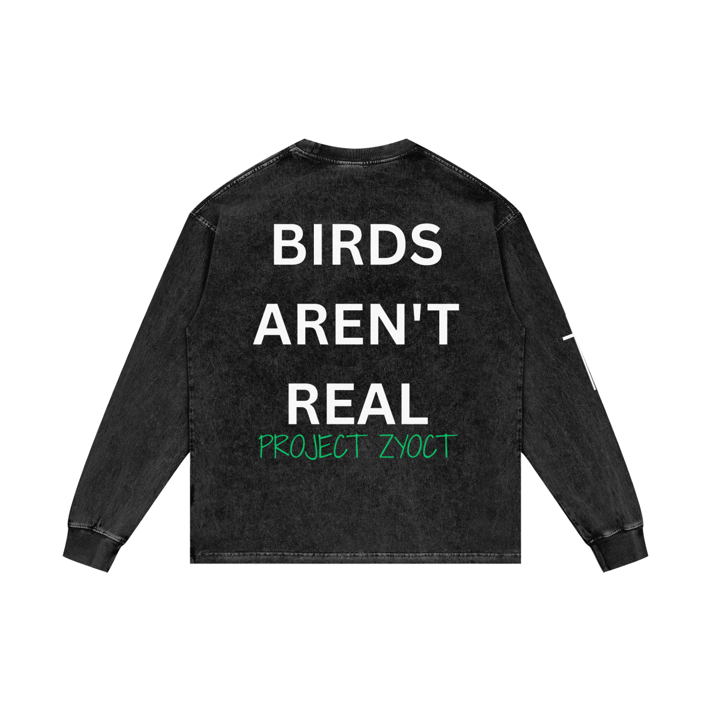 "Birds Aren't Real" Acid Wash Long Sleeve