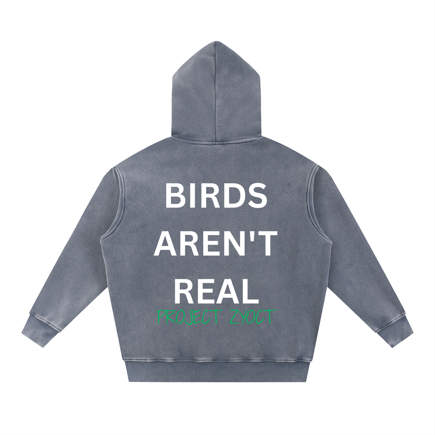 "Birds Aren't Real" Snow Wash Oversize Hoodie