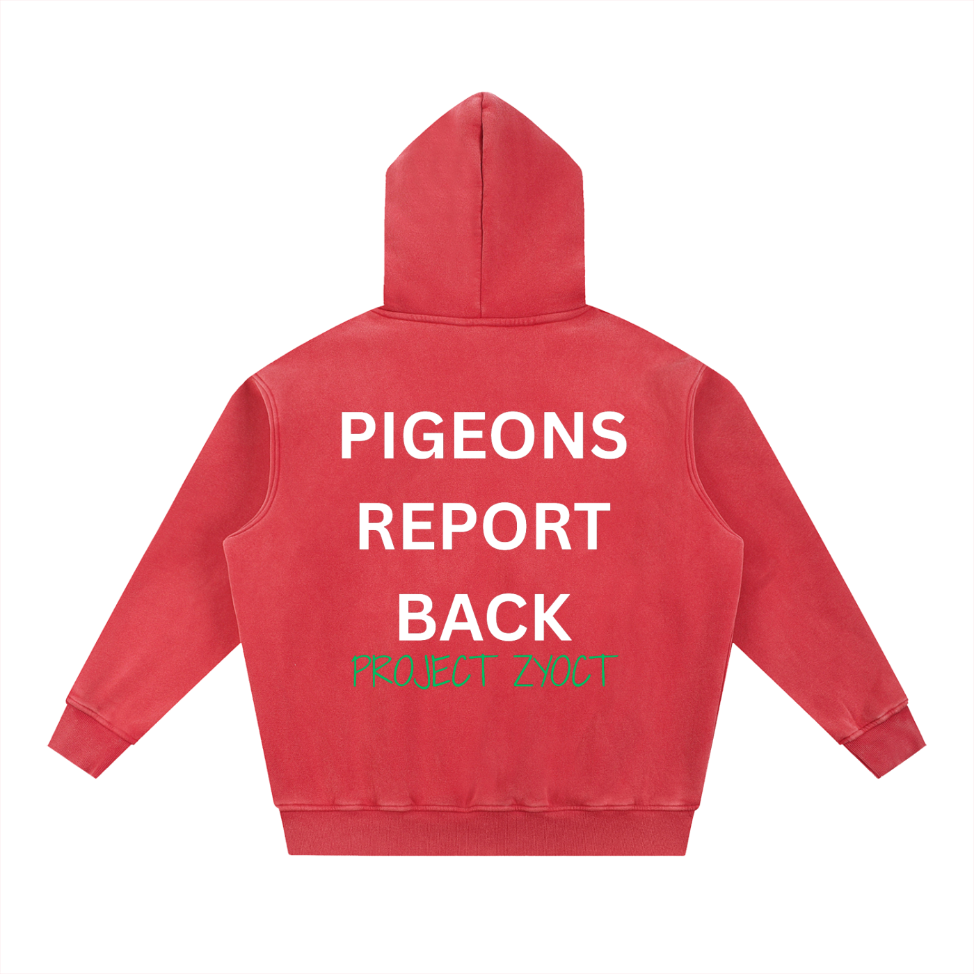 "Pigeons Report Back" Snow Wash Oversize Hoodie