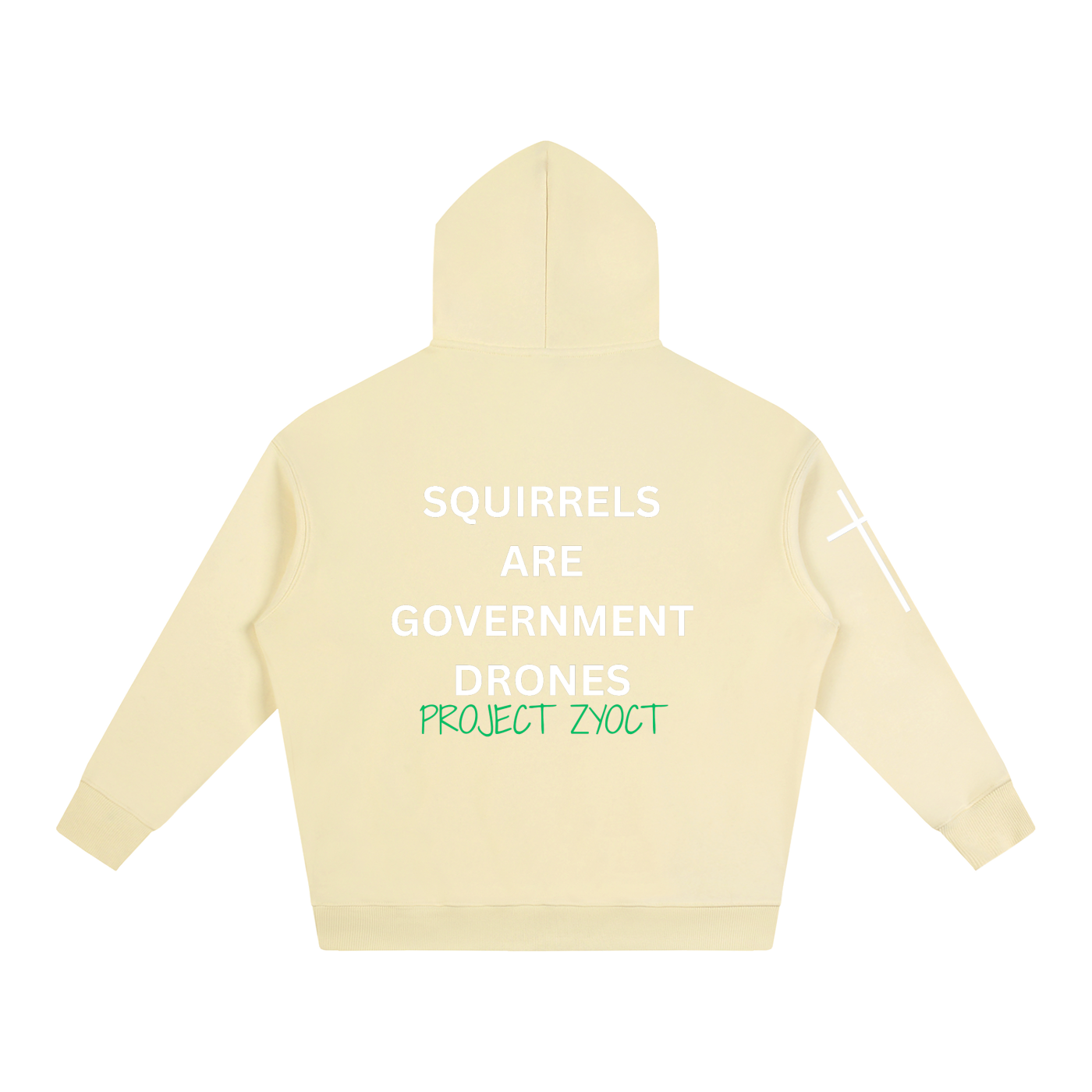 "Squirrels Are Government Drones" Oversize Hoodie