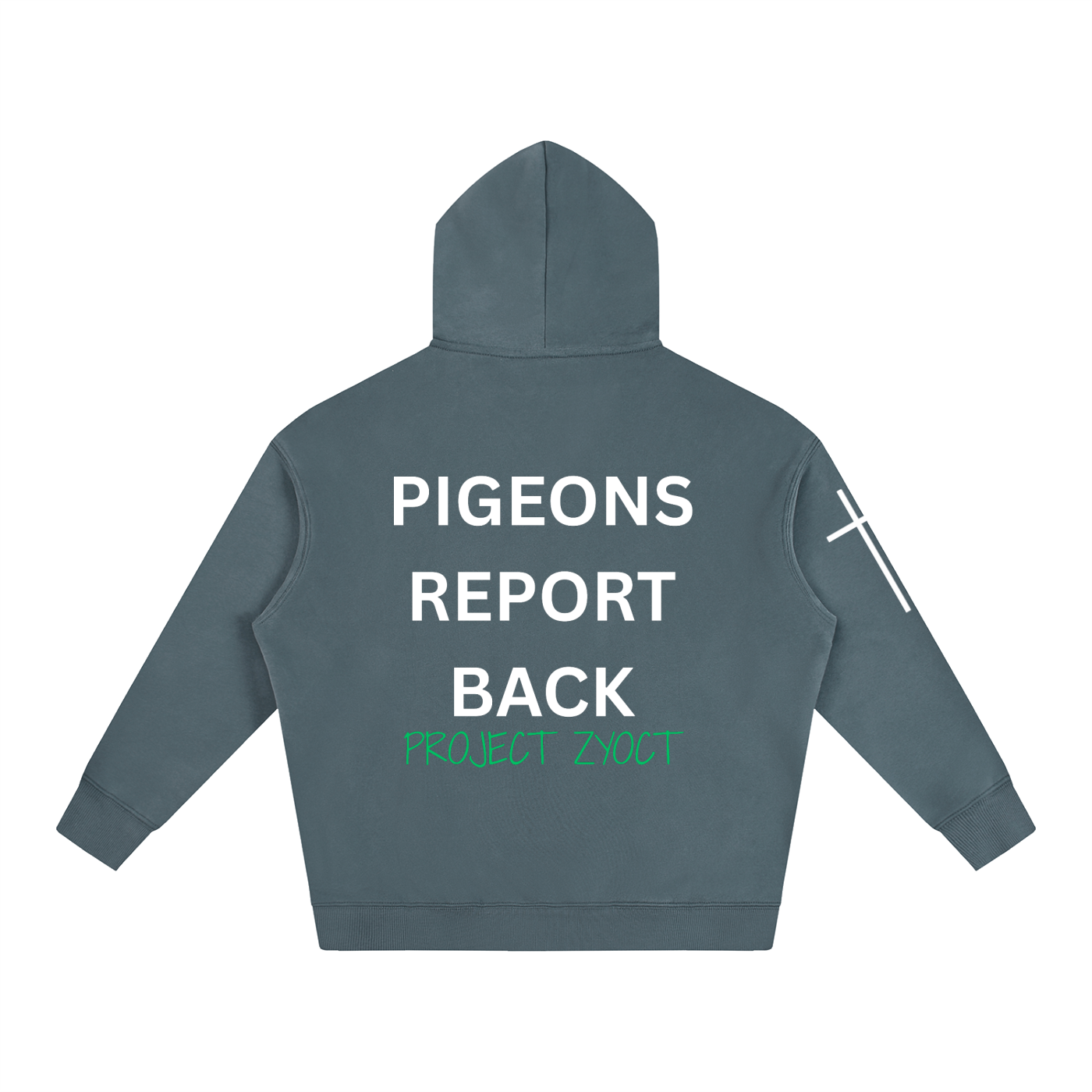 "Pigeons Report Back" Oversize Hoodie