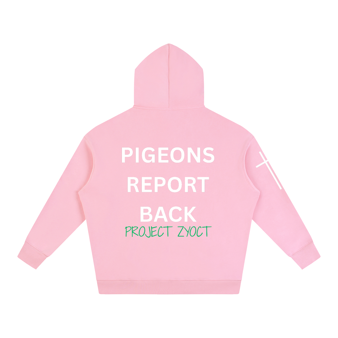 "Pigeons Report Back" Oversize Hoodie