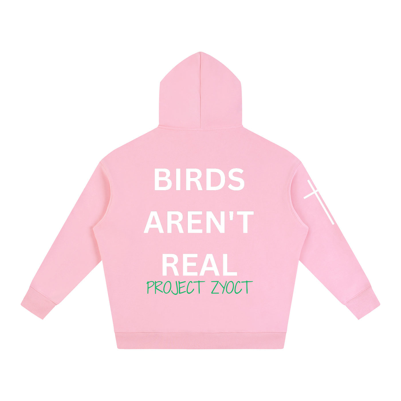 "Birds Aren't Real" Oversize Hoodie