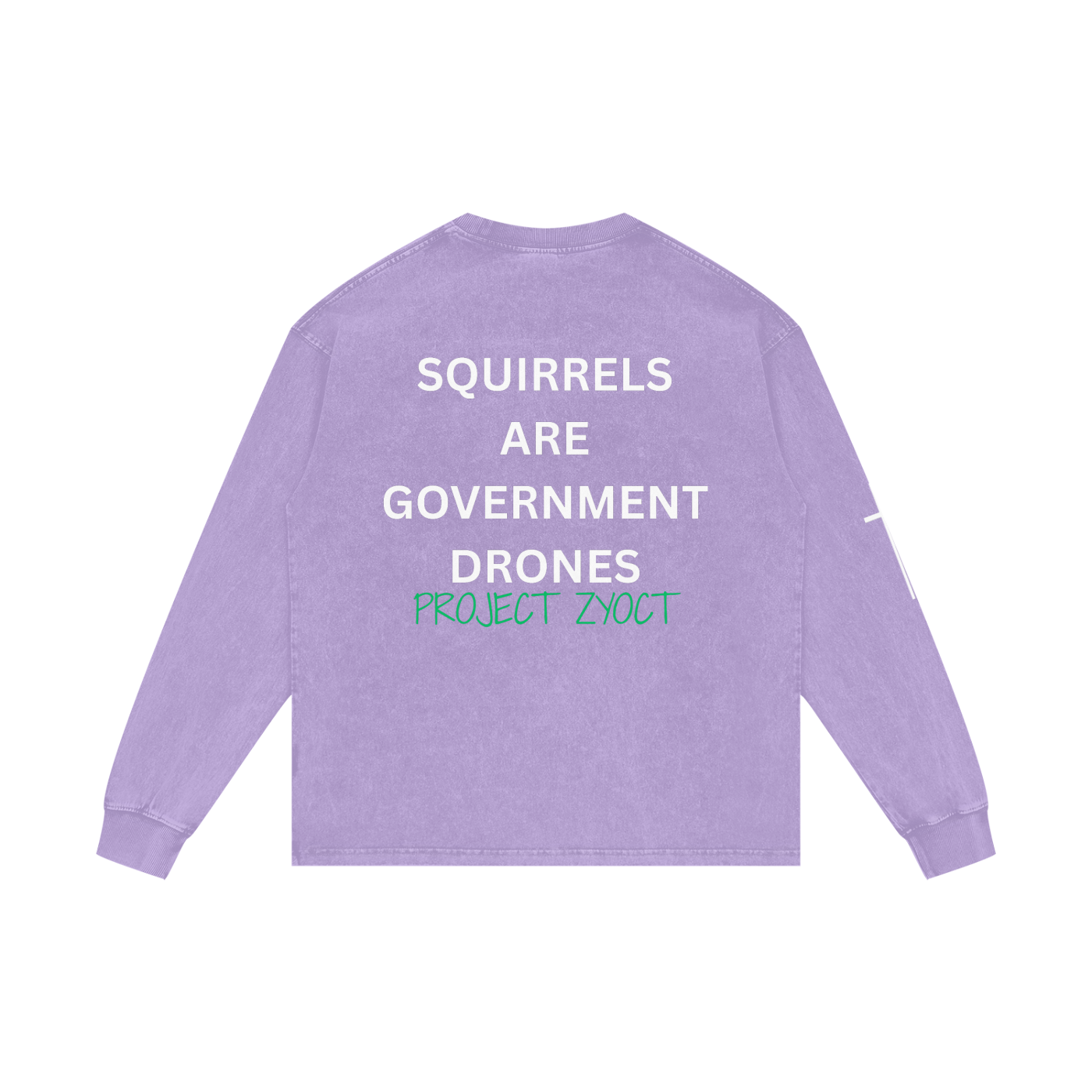 "Squirrels Are Government Drones" Acid Wash Long Sleeve