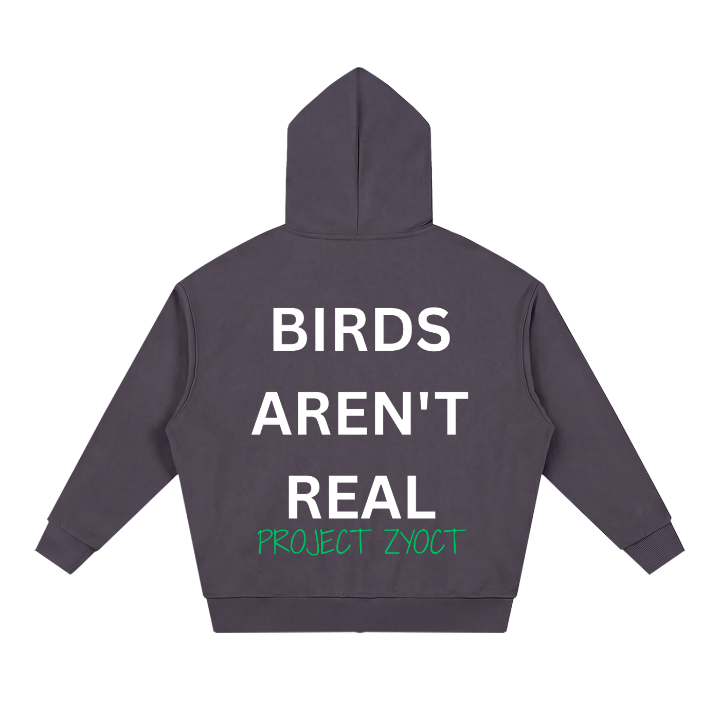 "Birds Aren't Real" Full Zip Hoodie