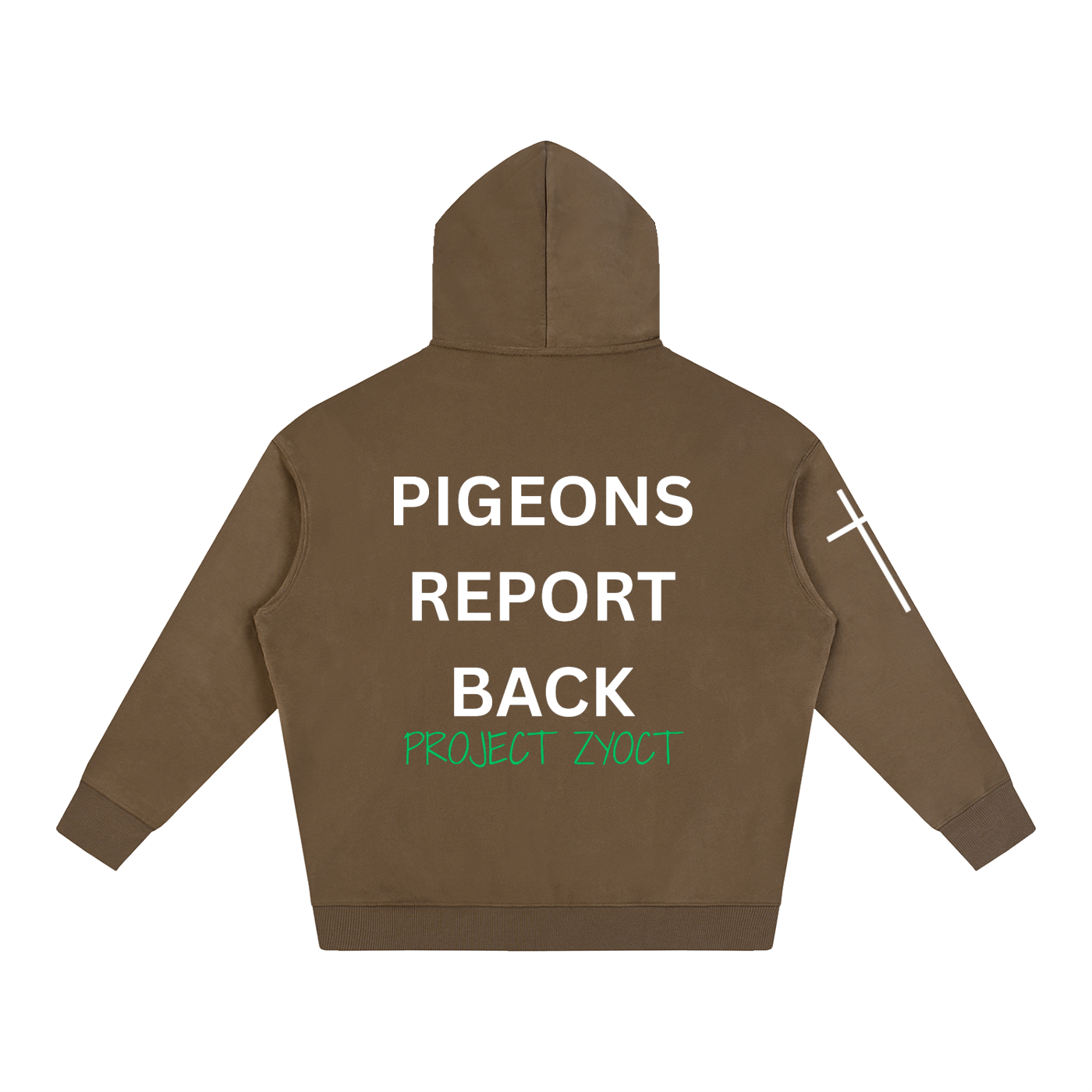 "Pigeons Report Back" Oversize Hoodie
