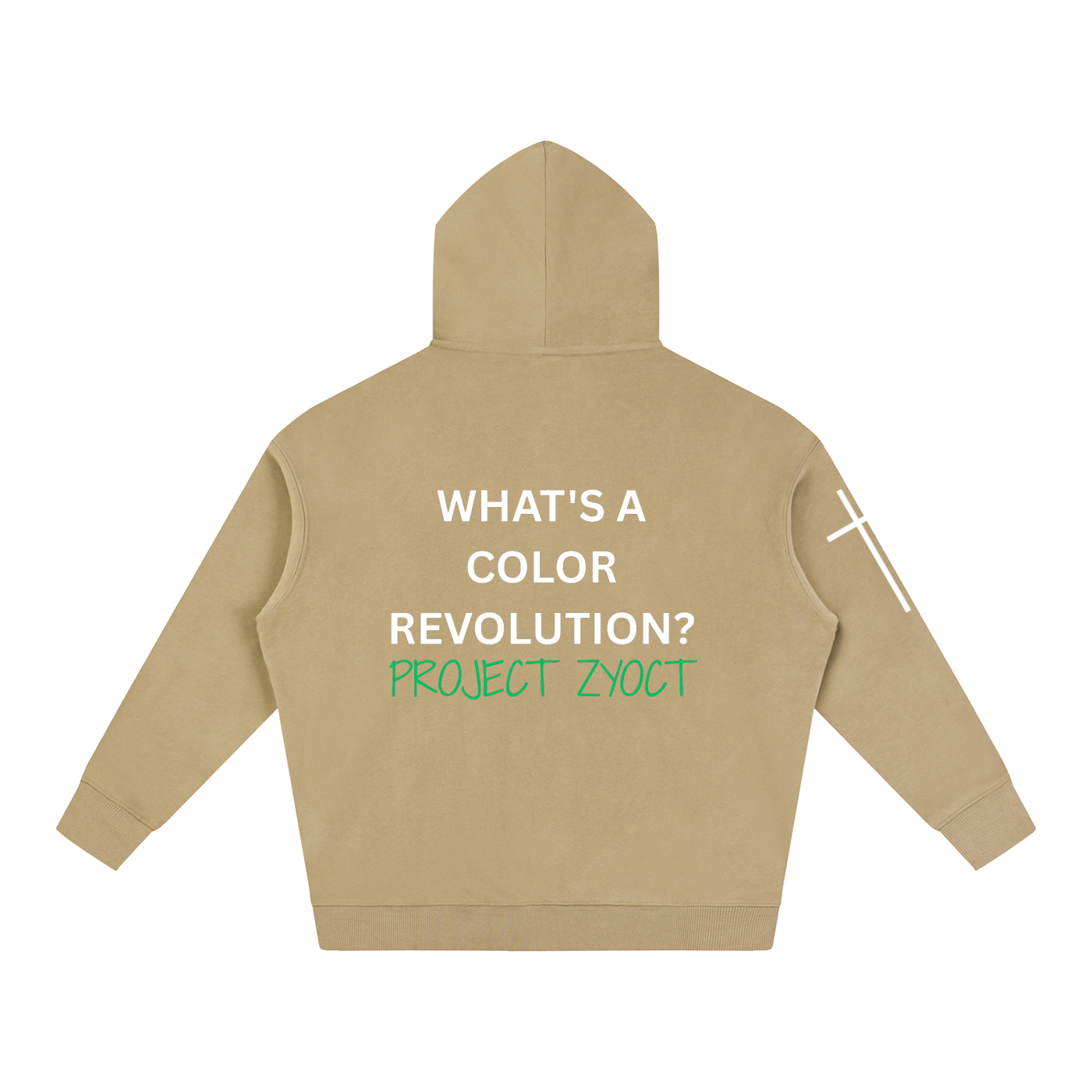 "What's a Color Revolution?" Oversize Hoodie