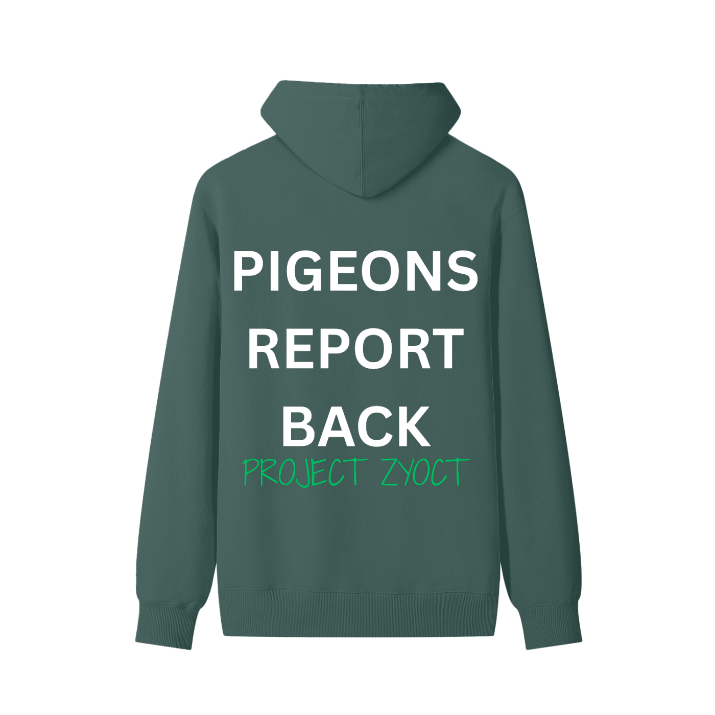 "Pigeons Report Back" Classic Cotton Hoodie