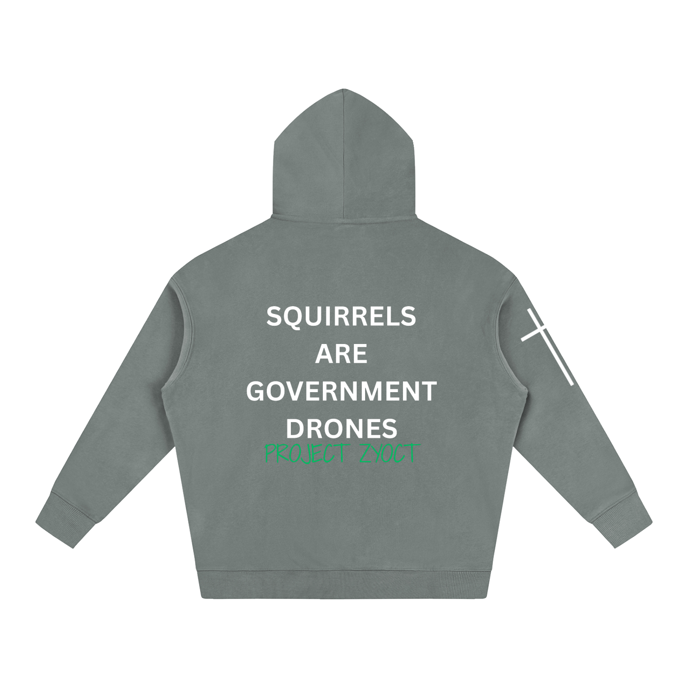 "Squirrels Are Government Drones" Oversize Hoodie