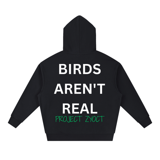 "Birds Aren't Real" Heavyweight Hoodie