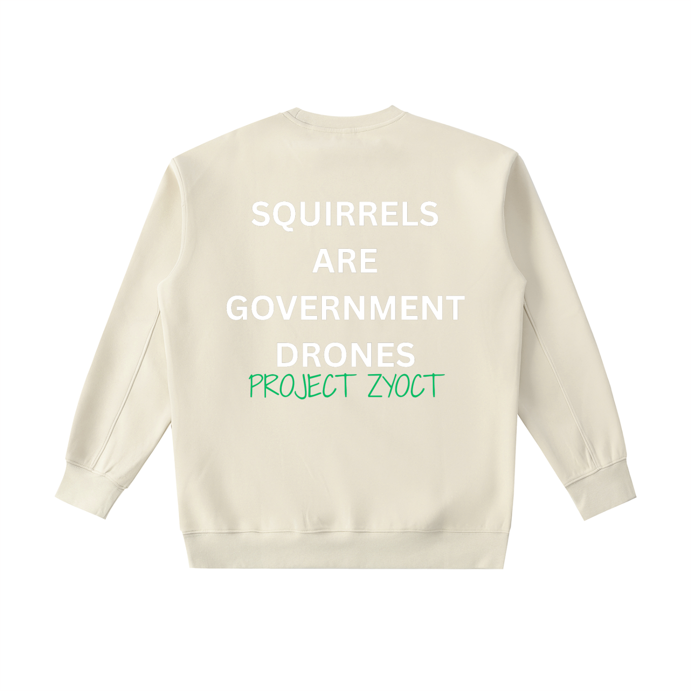 "Squirrels Are Government Drones" Heavyweight Sweatshirt