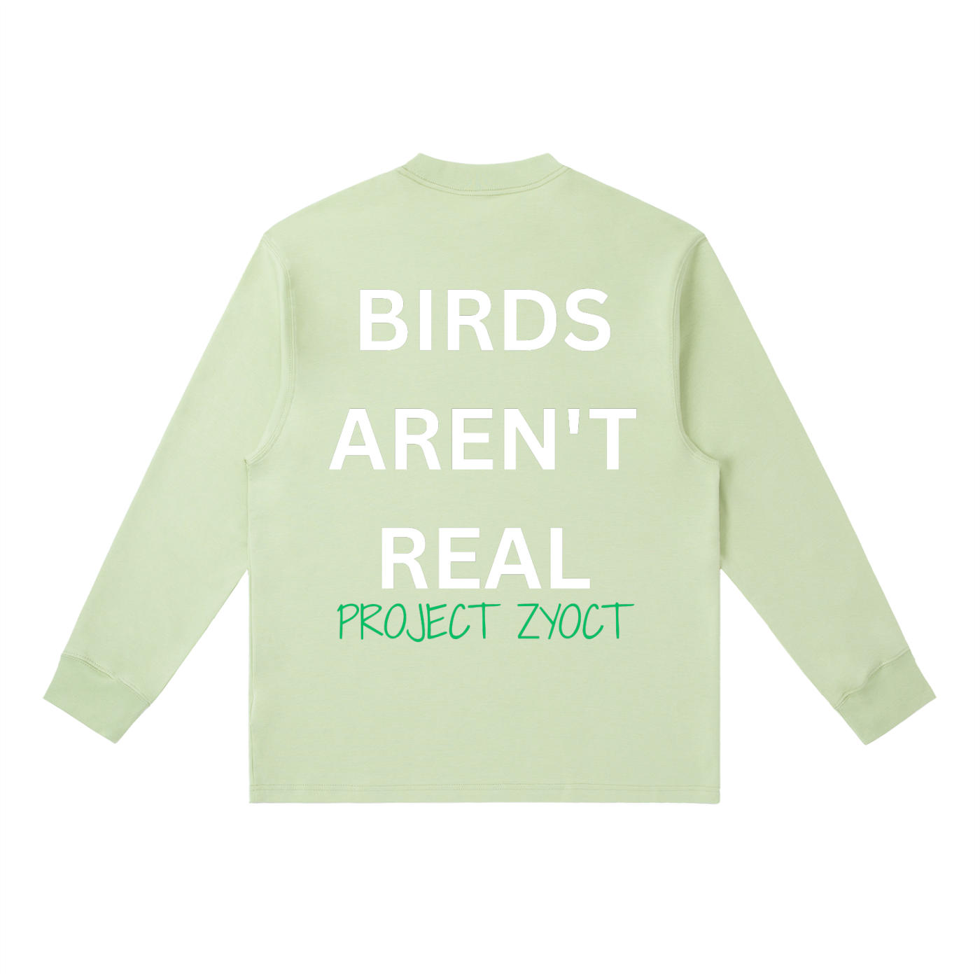 "Birds Aren't Real" Long Sleeve