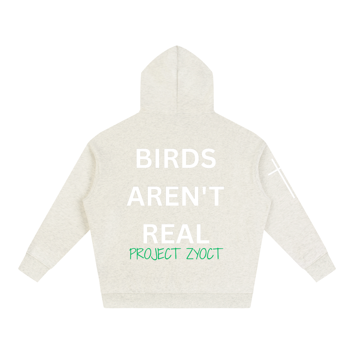 "Birds Aren't Real" Oversize Hoodie