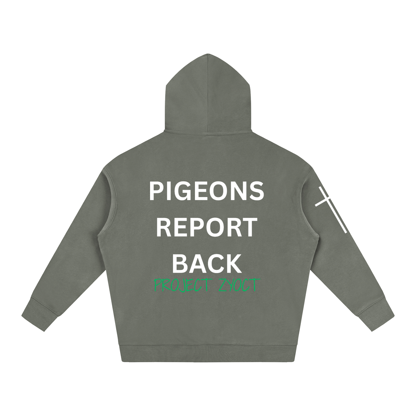 "Pigeons Report Back" Oversize Hoodie