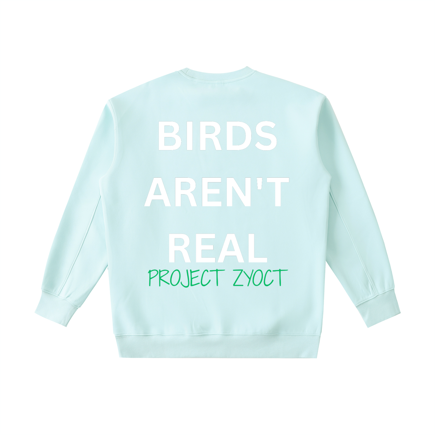 "Birds Aren't Real" Heavyweight Sweatshirt