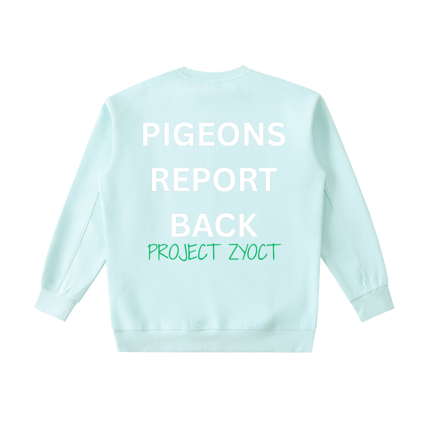 "Pigeons Report Back" Heavyweight Sweatshirt