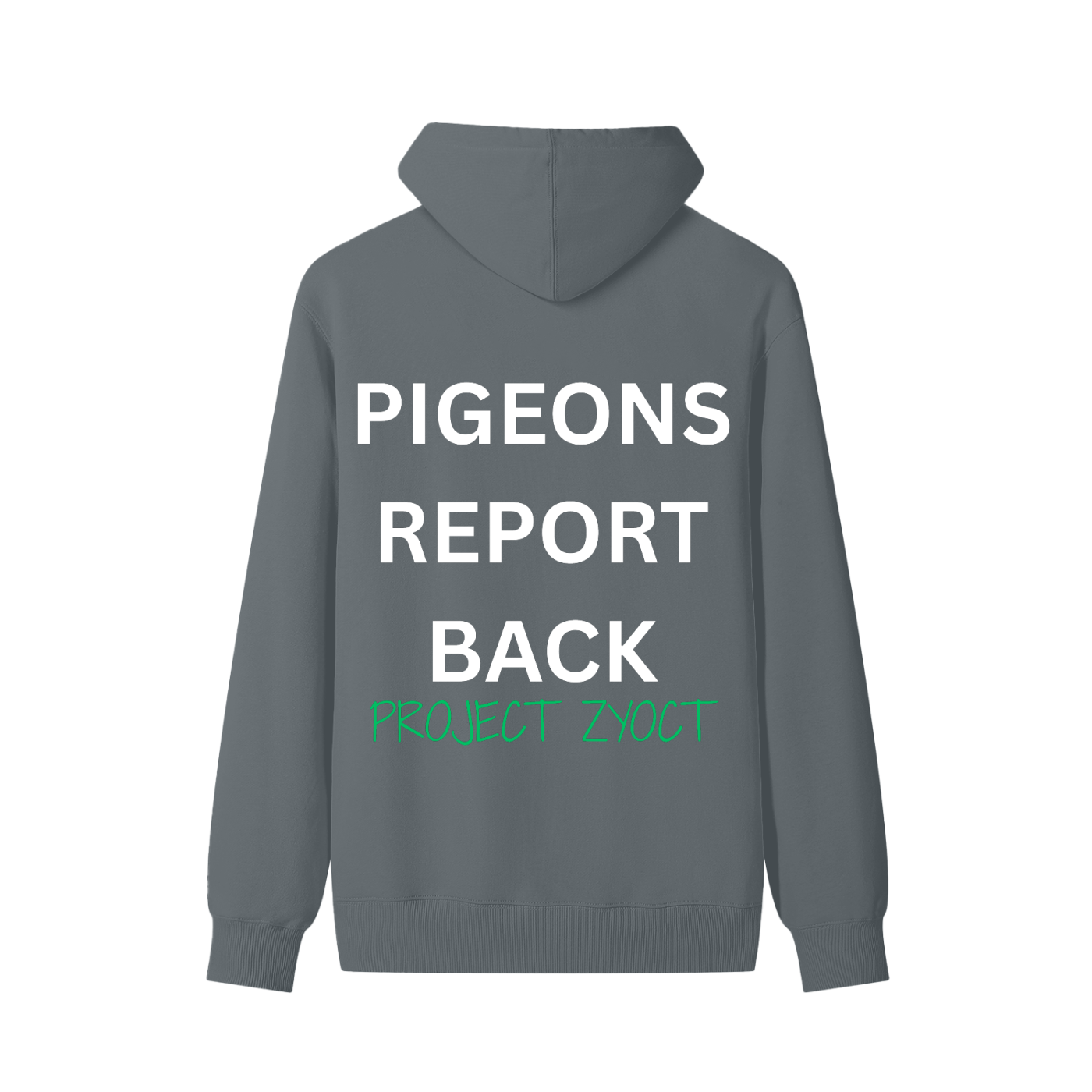 "Pigeons Report Back" Classic Cotton Hoodie