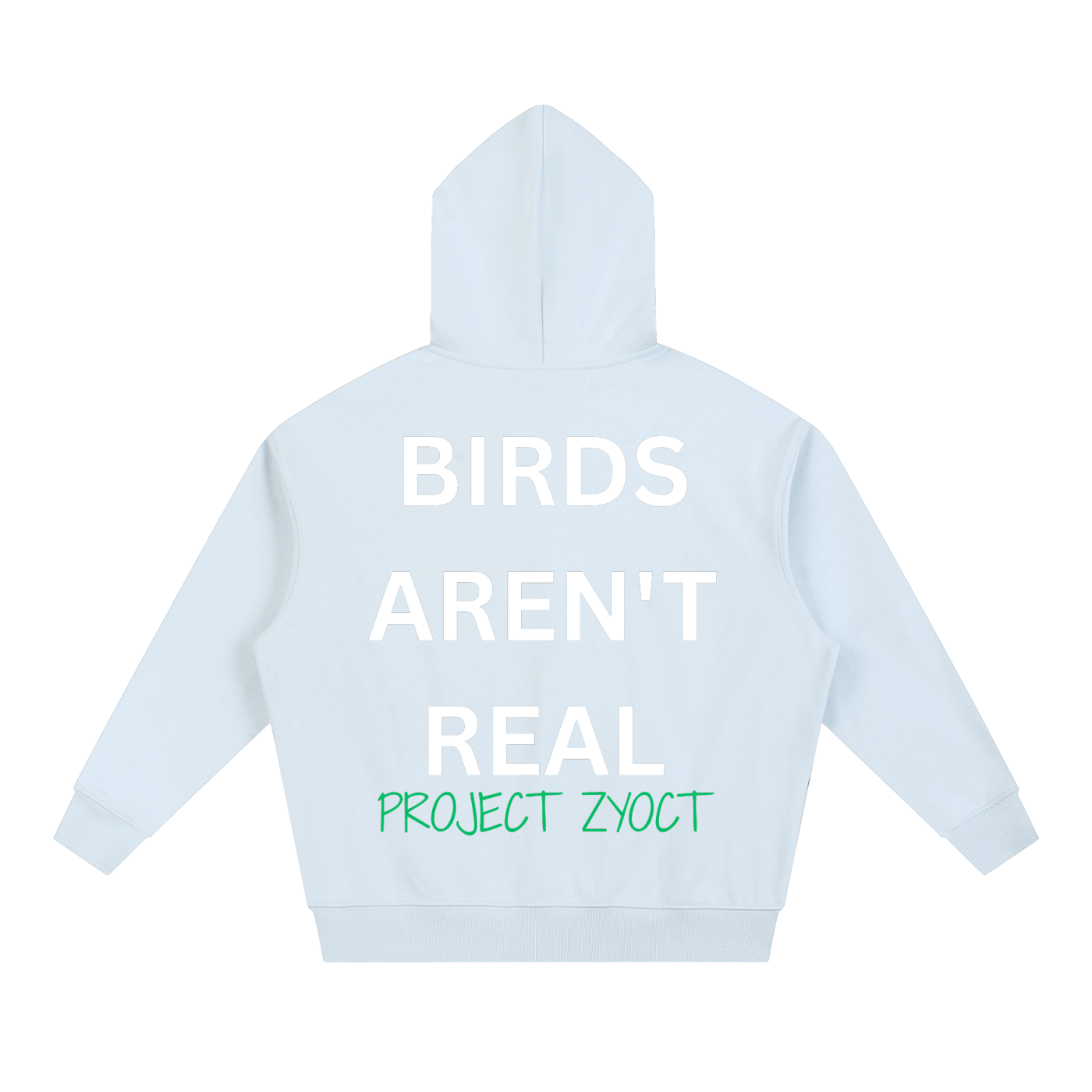 "Birds Aren't Real" Heavyweight Hoodie
