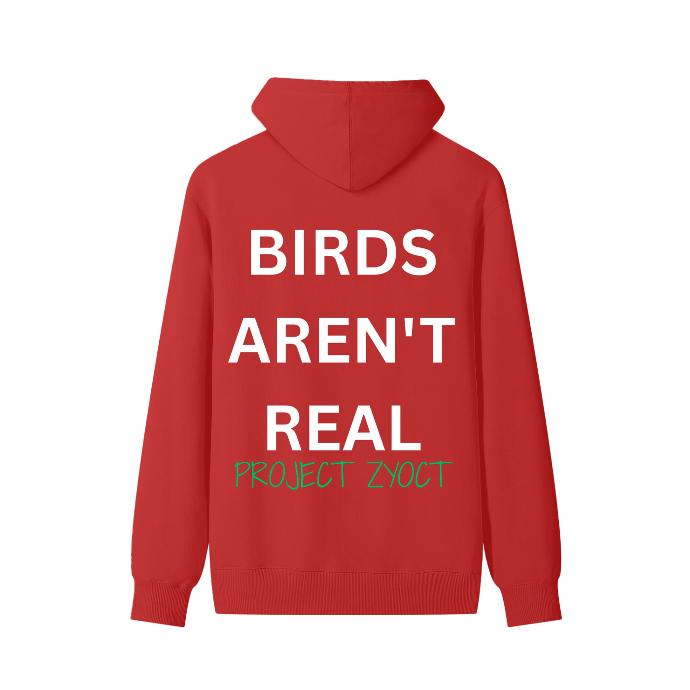 "Birds Aren't Real" Classic Cotton Hoodie