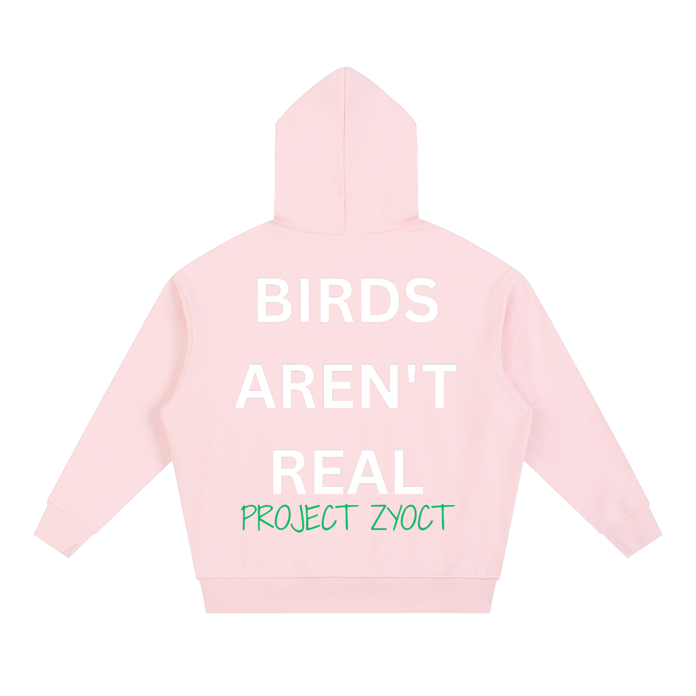 "Birds Aren't Real" Heavyweight Hoodie