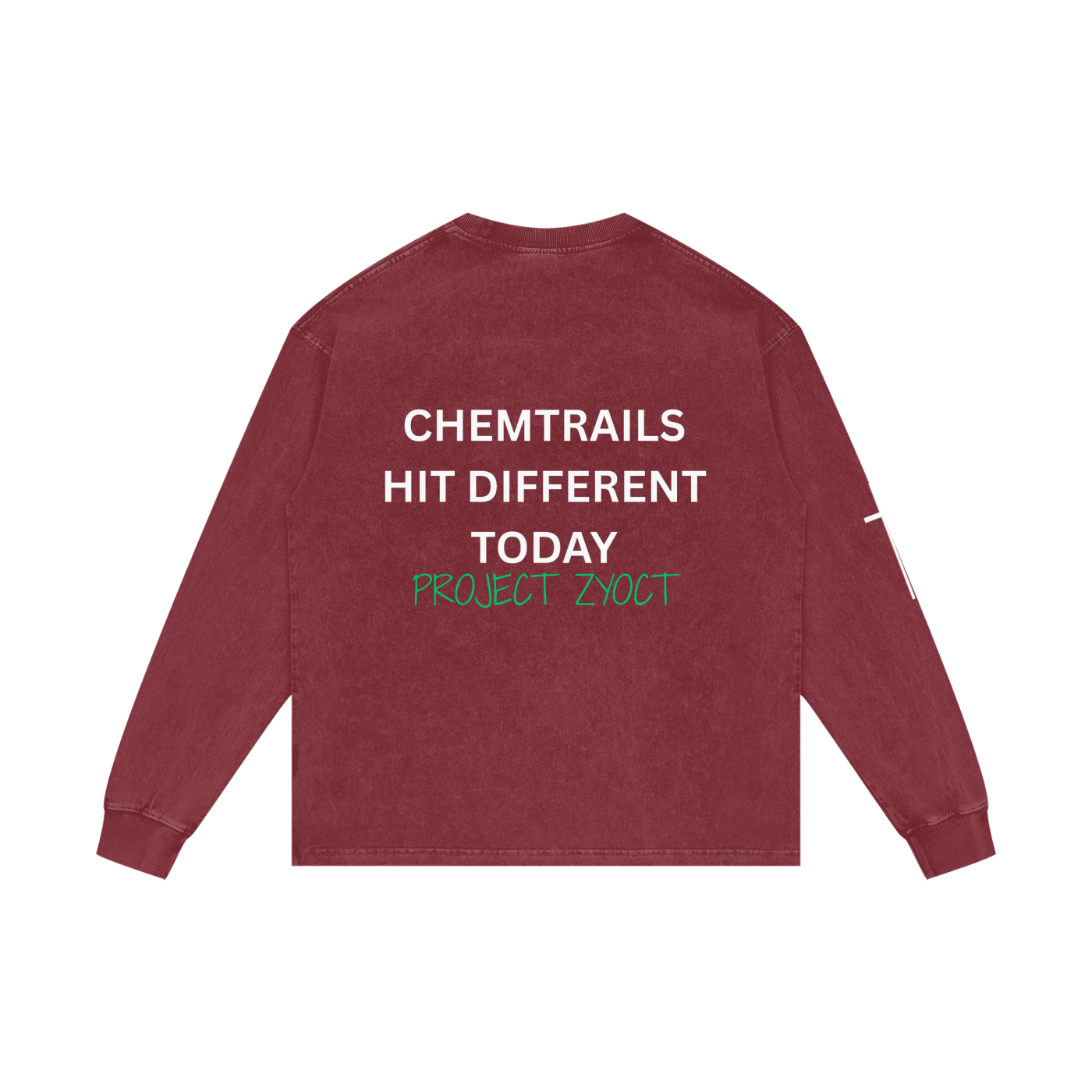 "Chemtrails Hit Different Today" Acid Wash Long Sleeve