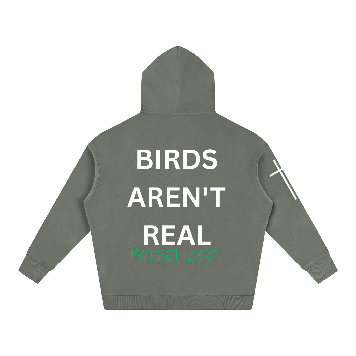 "Birds Aren't Real" Oversize Hoodie