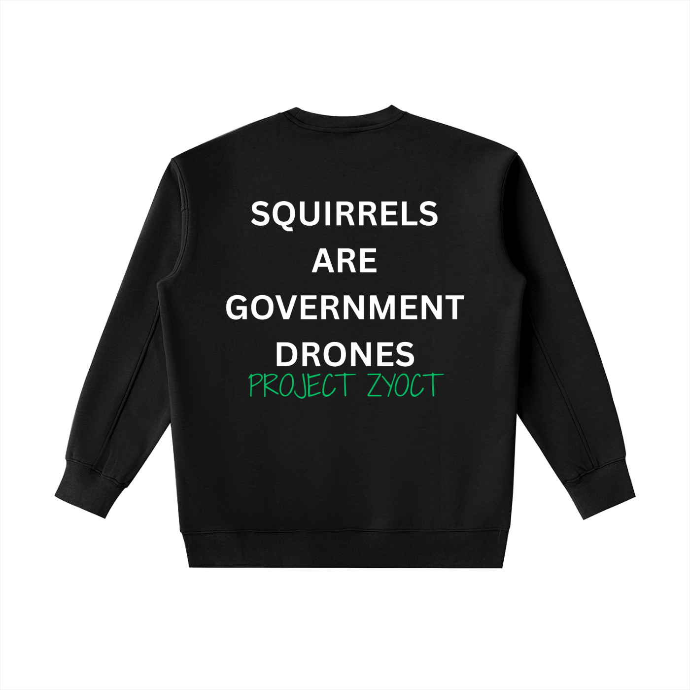 "Squirrels Are Government Drones" Heavyweight Sweatshirt