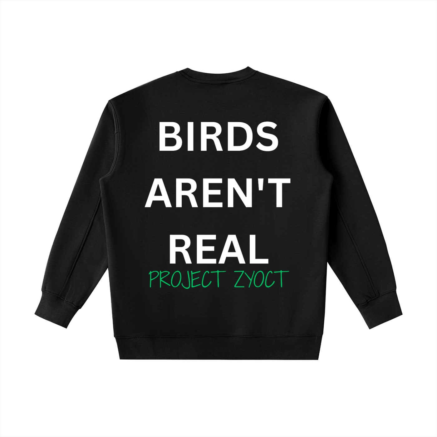 "Birds Aren't Real" Heavyweight Sweatshirt