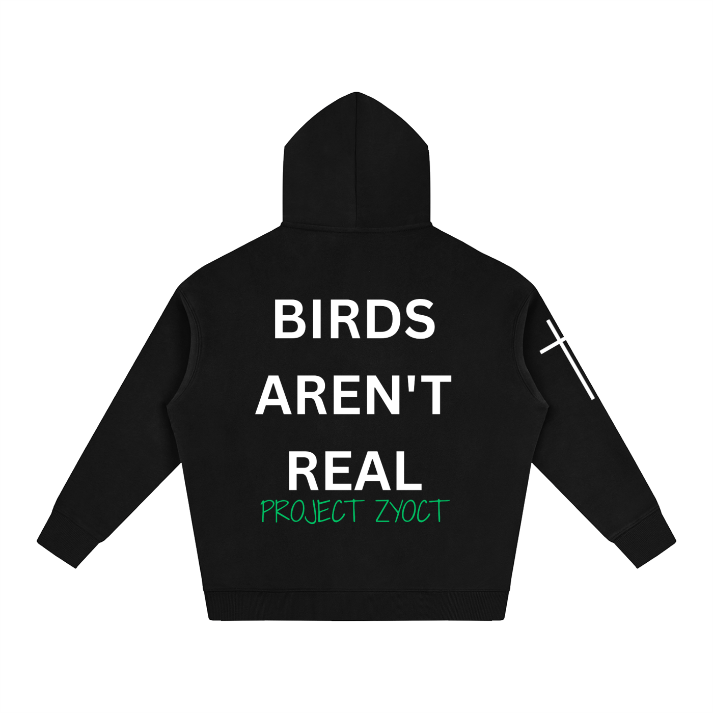 "Birds Aren't Real" Oversize Hoodie
