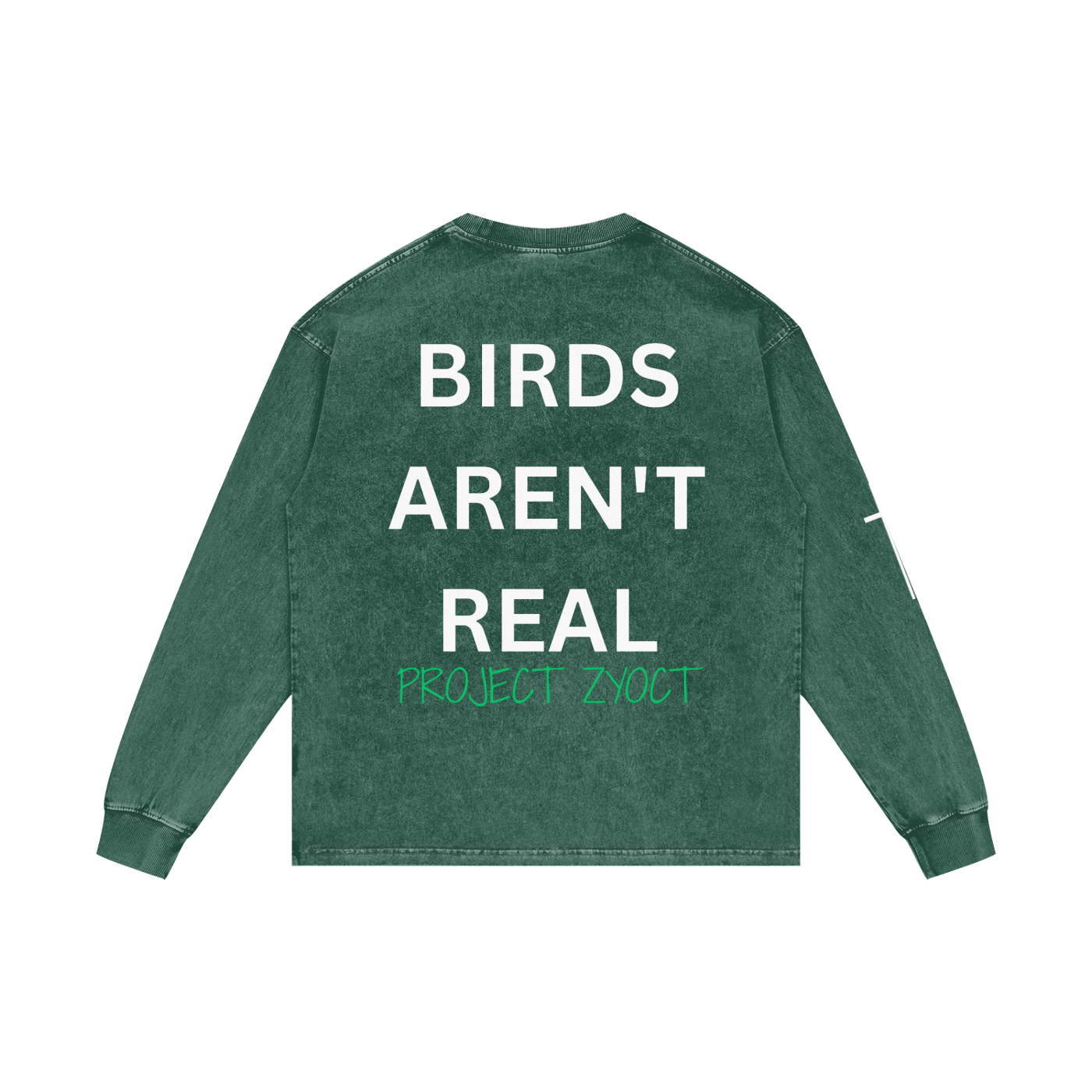 "Birds Aren't Real" Acid Wash Long Sleeve