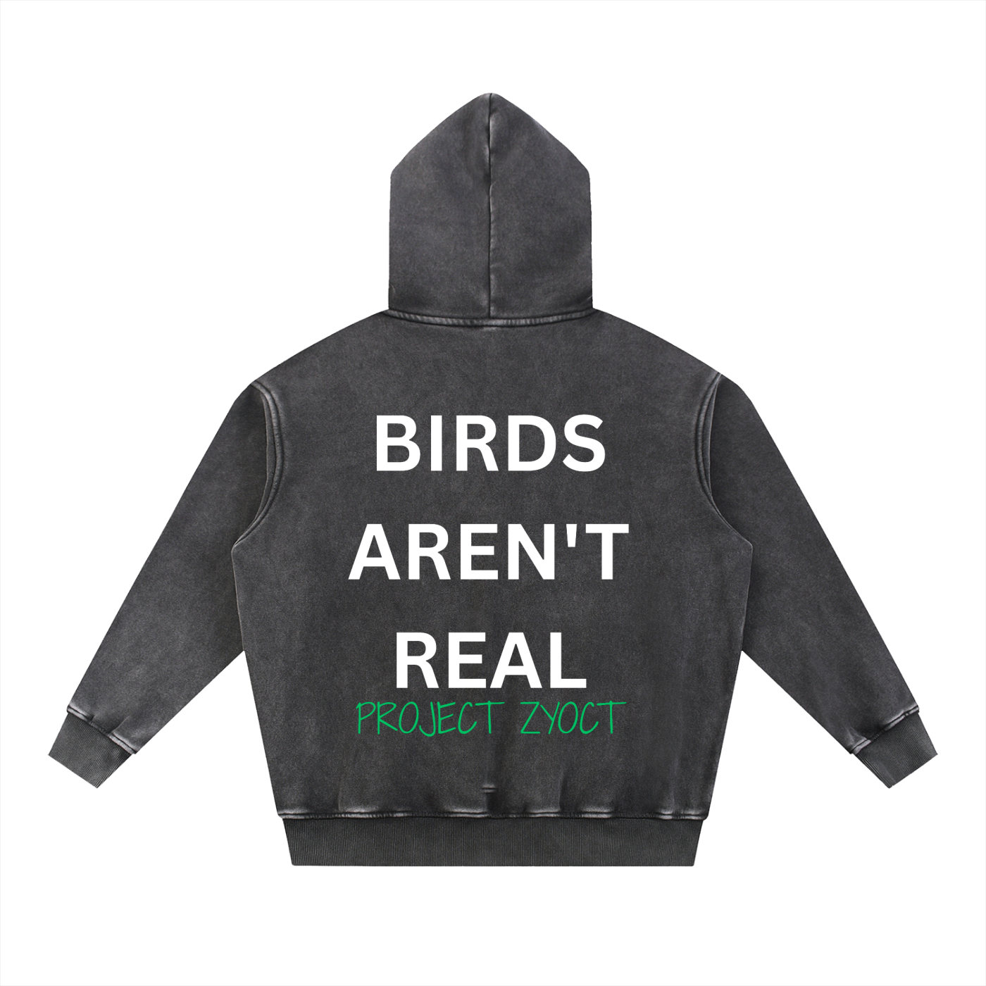 "Birds Aren't Real" Snow Wash Oversize Hoodie