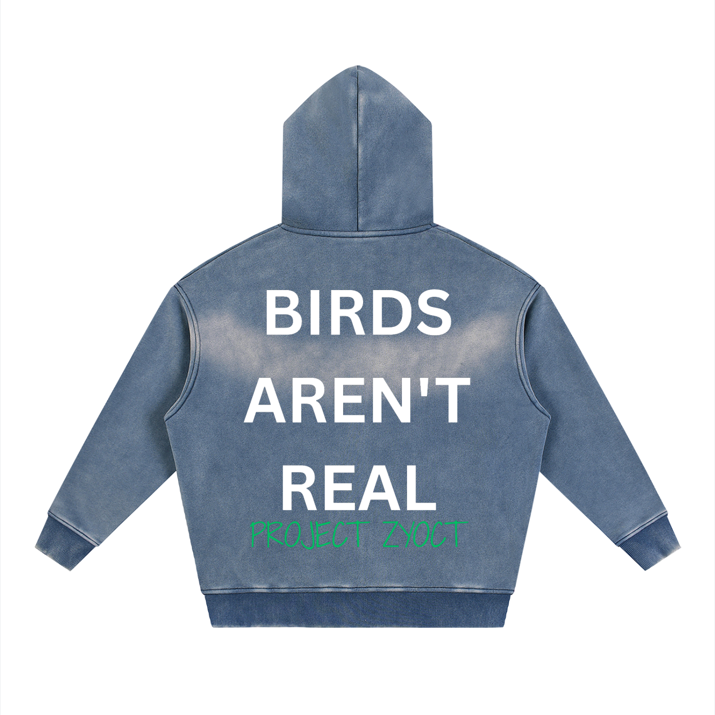 "Birds Aren't Real" Faded Zipper Hoodie