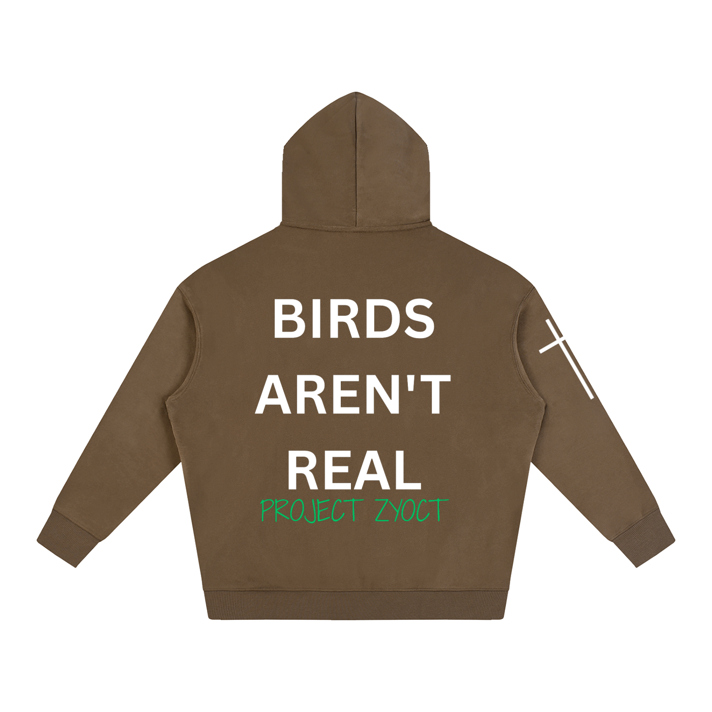 "Birds Aren't Real" Oversize Hoodie