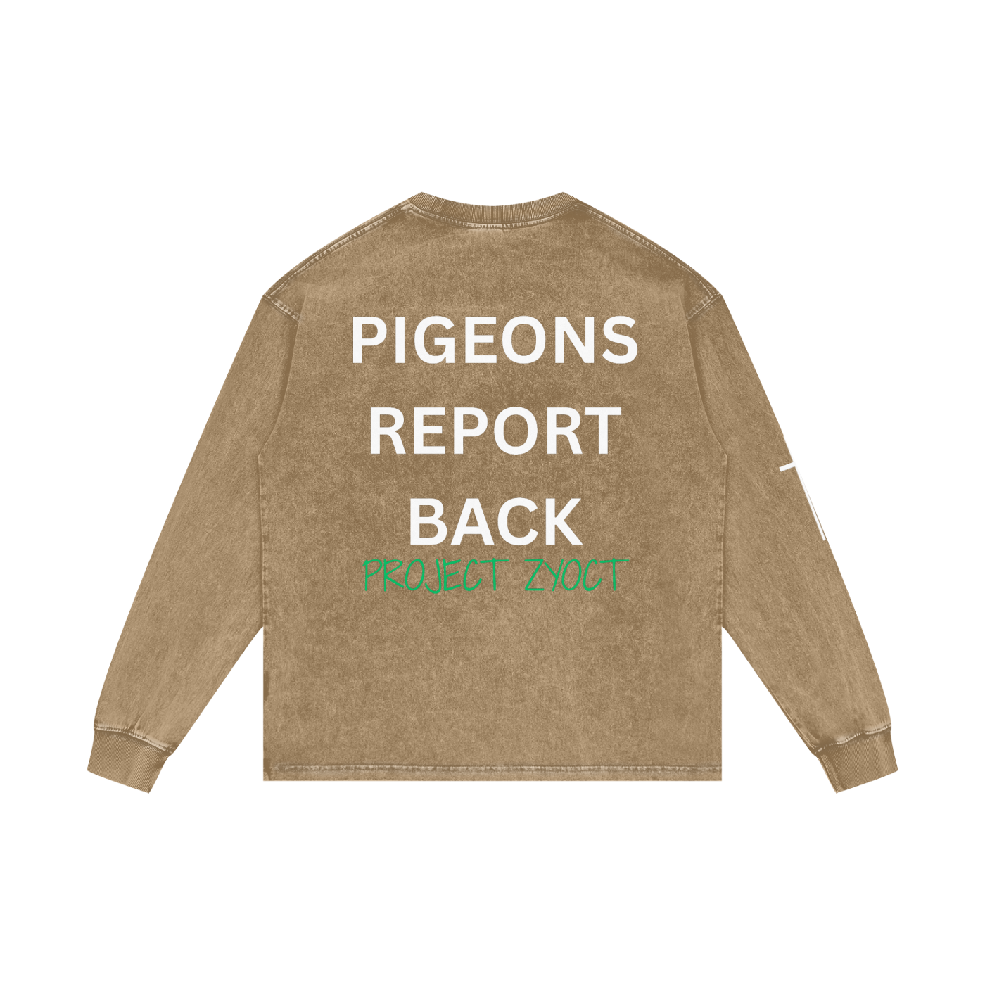 "Pigeons Report Back" Acid Wash Long Sleeve