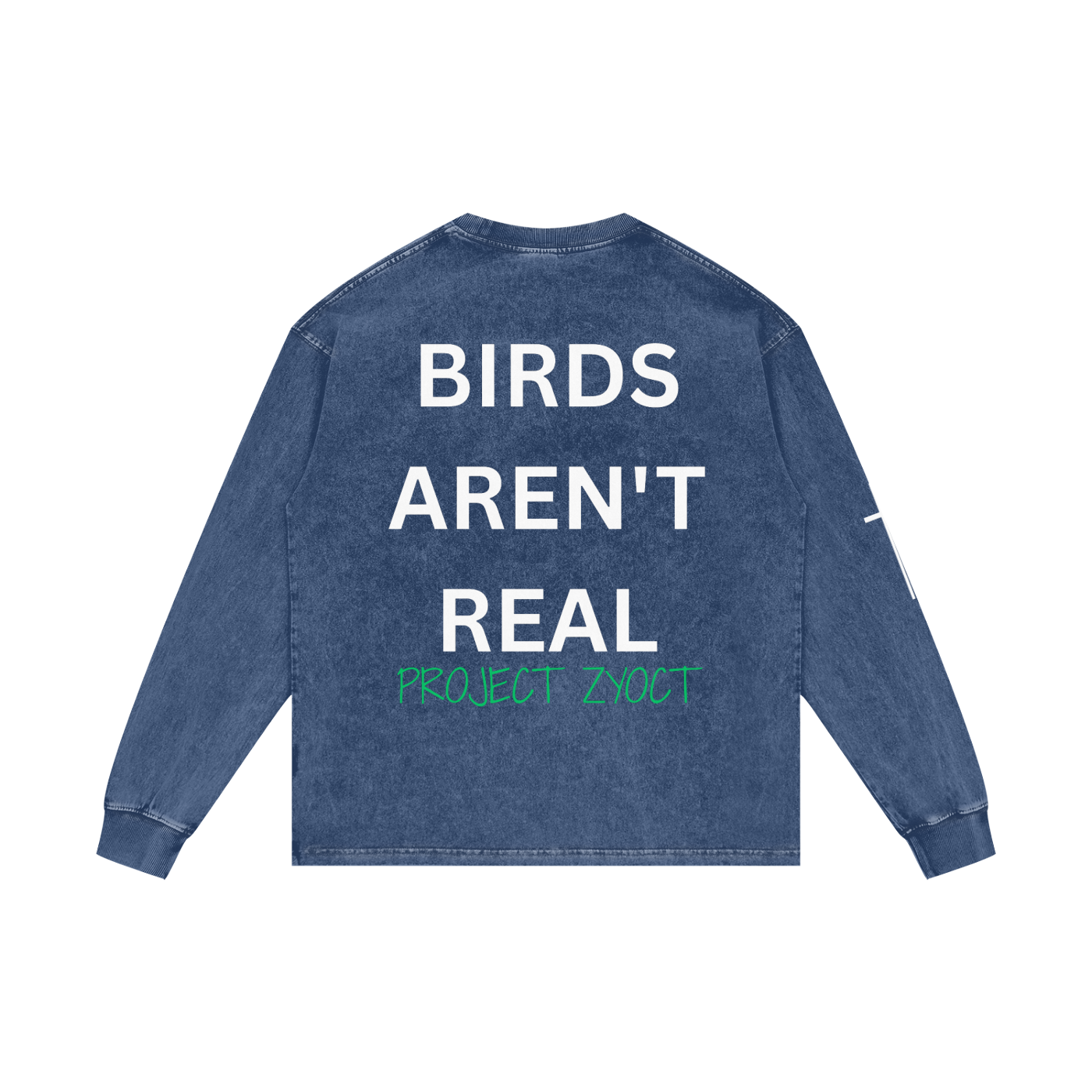 "Birds Aren't Real" Acid Wash Long Sleeve