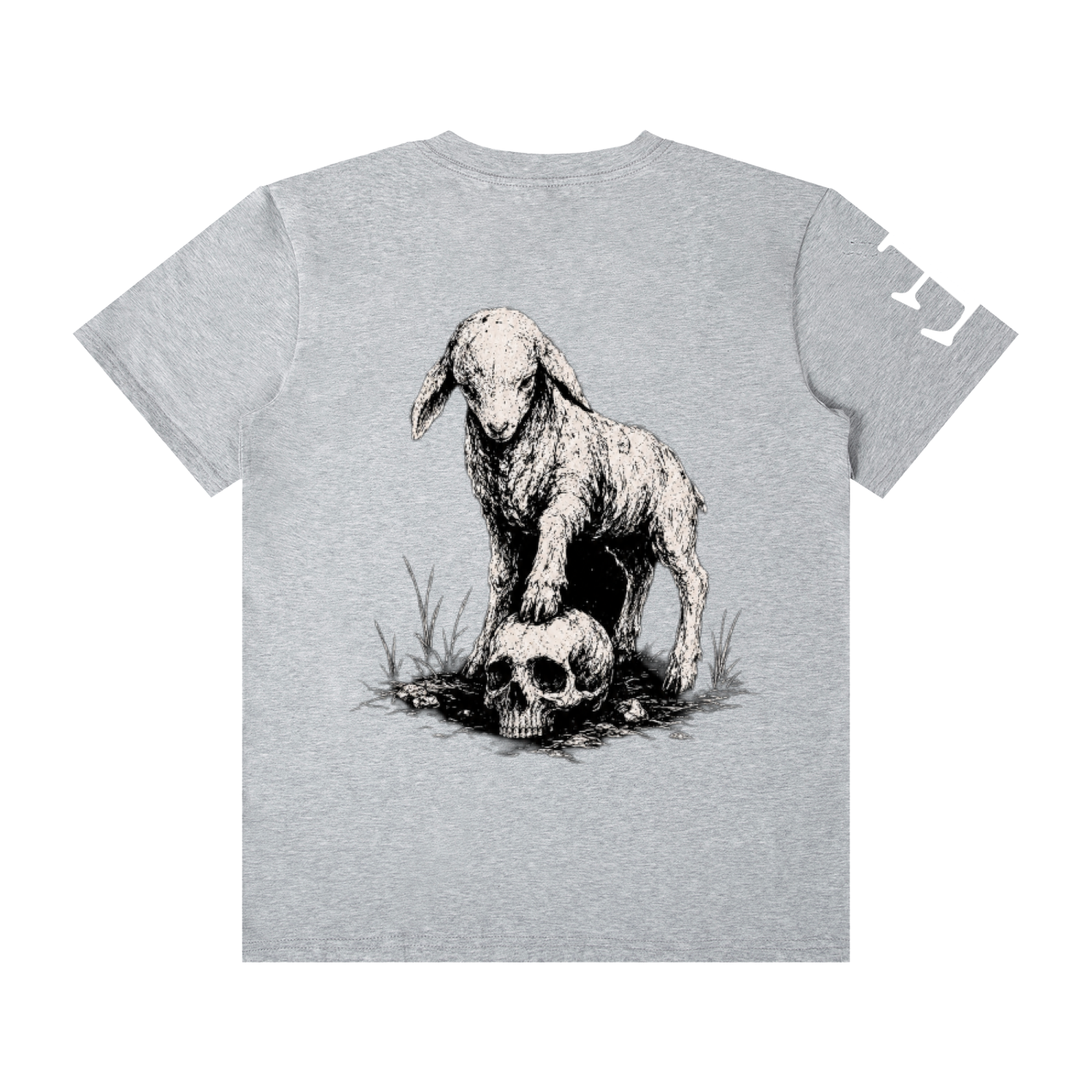 Faith Over Fear T-Shirt